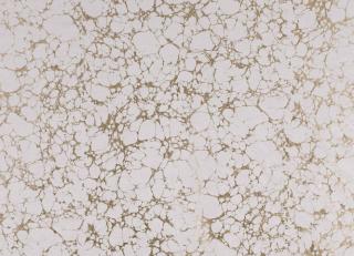 Фото - Ткани Black Edition Zkara Decorative Velvets - 330068>