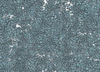 Фото - Обои Tres Tintas Wall A Porter - 198198>