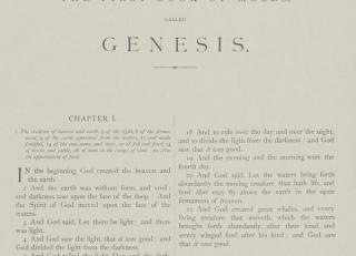 Фото - Обои Andrew Martin Scholar - 461736>