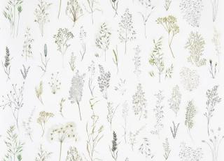 Фото - Обои Pierre Frey Jardins Secrets Wallpapers - 617446>