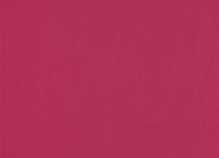 Фото - Обои Caselio Pretty Lili - 375902>