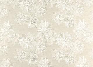 Фото - Обои Calcutta Botanic - 211903>