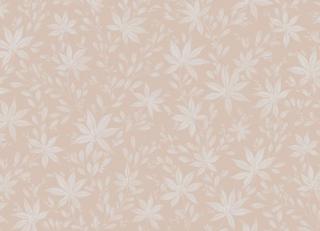 Фото - Персиковые обои на стену - 257307>