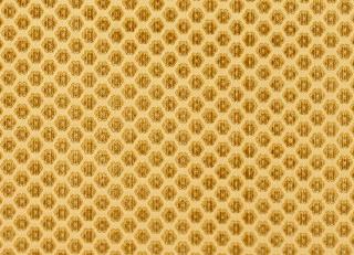 Фото - Ткани Loris Zanca Savoia Velvet - 361678>