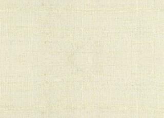 Фото - Ткани Дом CARO Silk Bombay - 533347>