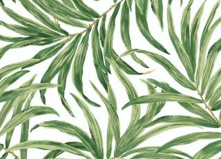 Фото - Обои York Wallcoverings Tropics - 548837>