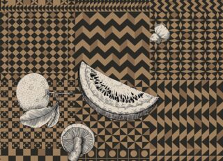 Фото - Обои Cole & Son Fornasetti Senza Tempo II - 626700>