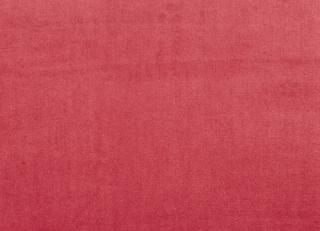 Фото - Ткани Prestigious Textiles Parade - 445726>