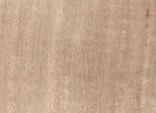 Фото - Обои Yana Svetlova Paulownia - 572459>