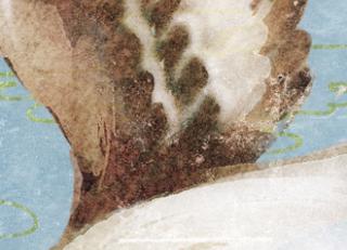 Фото - Обои Elitis Soleil levant - 469518>