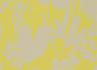 Фото - Обои Harlequin Amazilia - 215251>