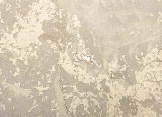 Фото - Обои Decori & Decori Forte dei Marmi 2 - 544543>