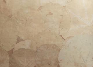 Фото - Обои Nobilis Stenope - 398182>