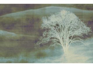 Фото - Обои Texam Id - 425562>