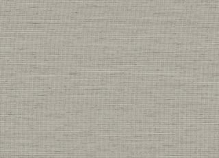 Фото - Обои Faboie Monkey World - 621034>