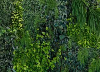 Фото - Обои Mr Perswall Captured Reality - 234474>