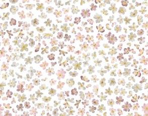 Фото - Обои Bernardo Bartalucci Milashka - 614003>