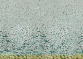 Фото - Обои Tenue de Ville Ode - 363348>