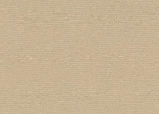 Фото - Ткани Rubelli Zelda - 573440>