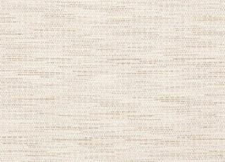 Фото - Ткани Colefax and Fowler Tarn - 554034>