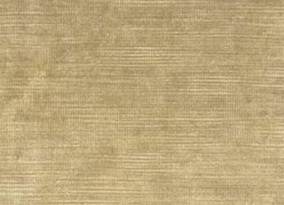 Фото - Ткани Clarke&Clarke Majestic Velvet - 296325>