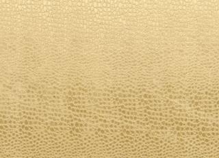 Фото - Ткани Clarke&Clarke Tempo Velvets - 297066>