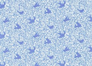 Фото - Ткани Sanderson Papavera Prints & Embroideries - 451861>