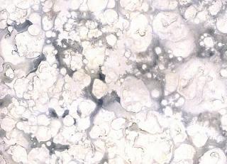 Фото - Обои Arlin Sweet Stones - 341999>