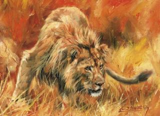 Фото - Обои Ortograf Дэвид Стрибблинг - 479035>