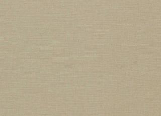 Фото - Ткани Clarke&Clarke Paradiso - 600239>