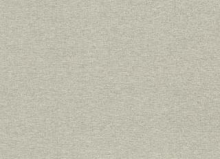 Фото - Ткани Rubelli Wide Shantung - 503294>