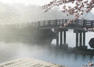 Фото - Ковры Tai Ping Kiso by Yabu Pushelberg - 507855>