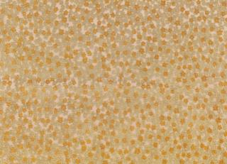 Фото - Ткани Kirkby design Burst - 527293>