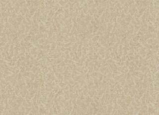 Фото - Обои Zambaiti Bosco - 531764>