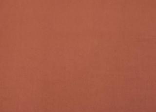 Фото - Ткани Дом CARO Plushery - 533223>