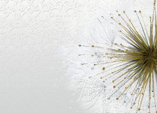 Фото - Обои Ango Linea Now - 330893>