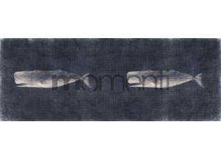 Фото - Обои Momenti Animal Collection - 317648>