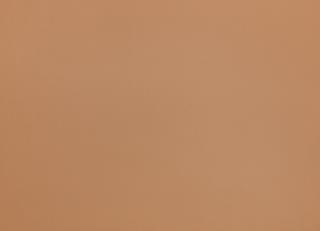 Фото - Ткани Zinc Leather Volume I - 565551>