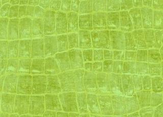 Фото - Обои Seabrook Tortuga - 434160>