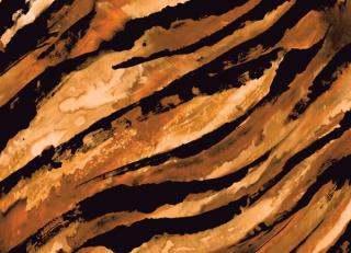 Фото - Обои Seabrook Living With Art - 217837>