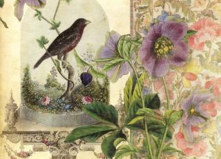 Фото - Обои Ortograf Эми Стюарт - 479993>