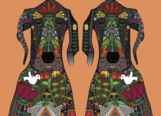 Фото - Обои Ortograf Шэрон Тёрнер - 479831>