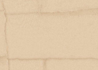 Фото - Обои Zambaiti Trussardi 8 - 624467>