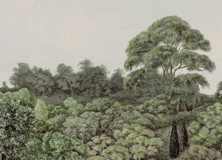 Фото - Обои Nobilis Marie Hartig Painted Worlds - 592879>