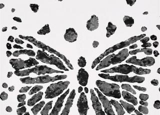 Фото - Обои с бабочками - 410323>