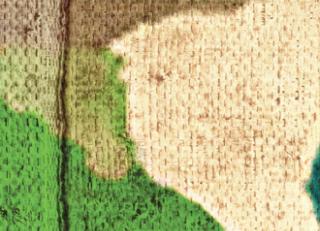 Фото - Обои Elitis Volver - 509152>