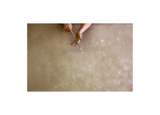 Фото - Обои Fresq F.N.02 - 328646>