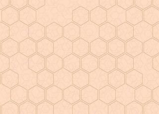 Фото - Обои Loymina Liberty - 443747>