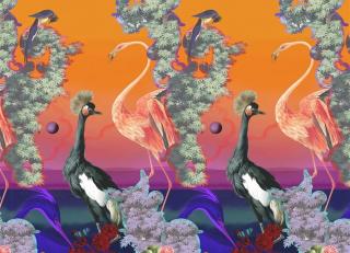 Фото - Обои Christian Lacroix Lacroix Stravaganza - 593124>