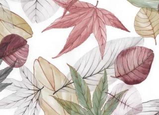 Фото - Ткани Alessandro Bini Driver - 593330>